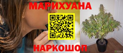 эйфоретик Гуково