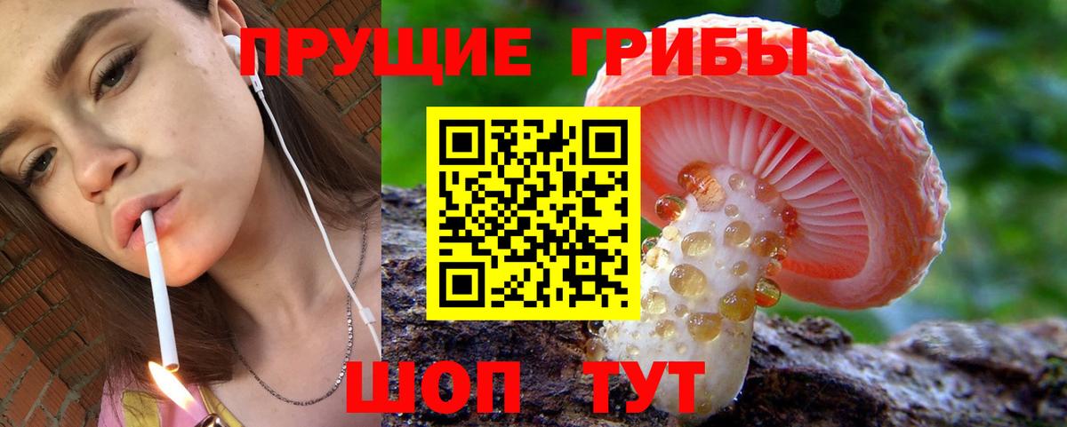 Псилоцибиновые грибы прущие грибы  Вход с VPN  Псилоцибиновые грибы мицелий  Дзержинский 